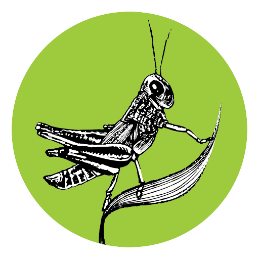 Grasshopper Solutions